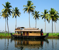 Wildlife Tour of India